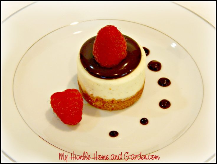 Garden Vanilla Bean and Topped Ganache Cheesecakes Home Chocolate Mini Humble With - My