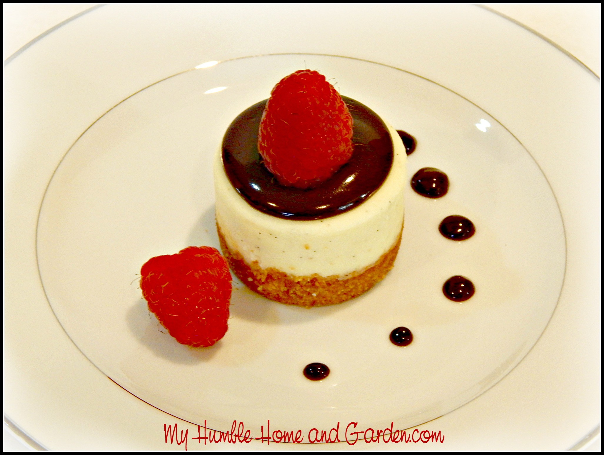 Mini Vanilla Bean Cheesecakes Topped With Chocolate Ganache - My Humble ...