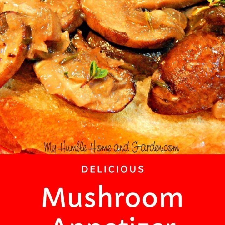 https://myhumblehomeandgarden.com/wp-content/uploads/2017/04/Delicious-Mushroom-Appetizer--720x720.jpg