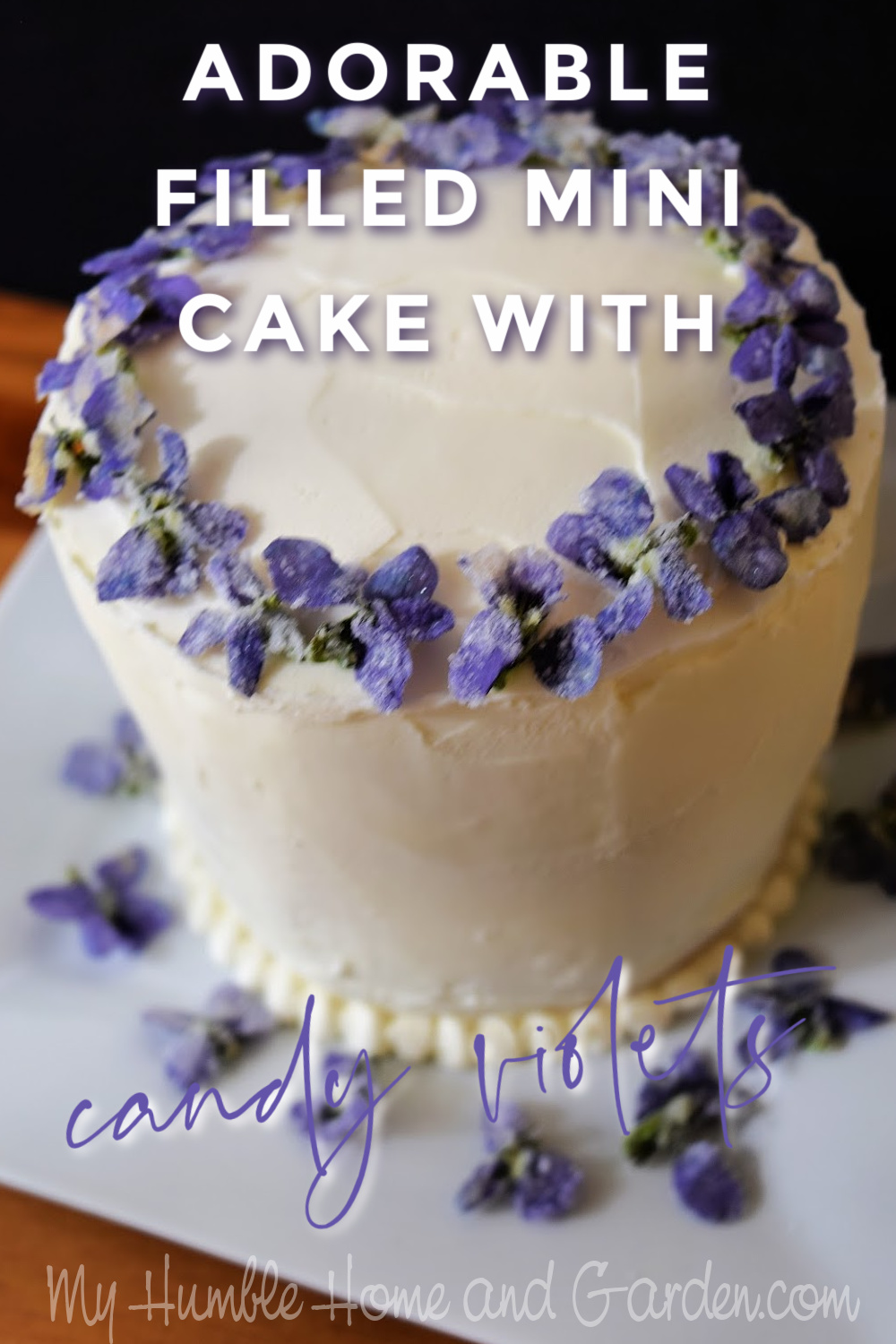 Adorable Filled Mini Cake Decorated With Sugared Violets My Humble