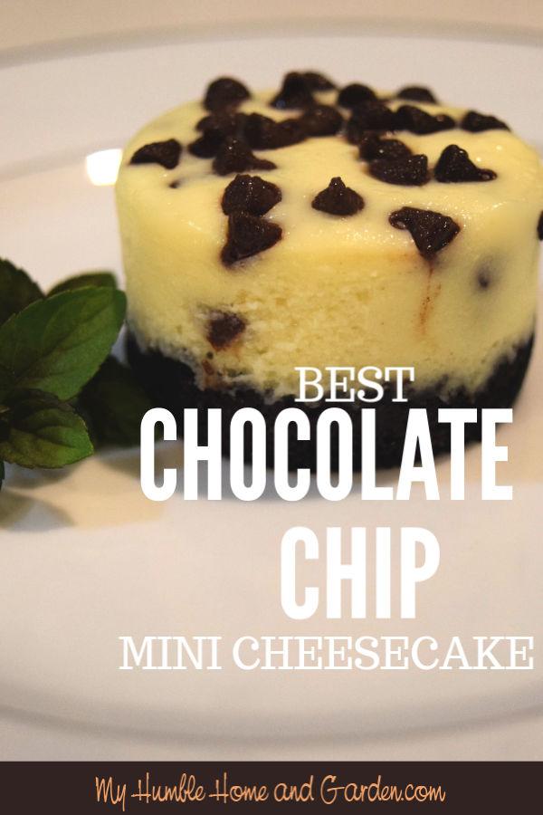 Mini Chocolate Chip Cheesecakes - My Humble Home And Garden