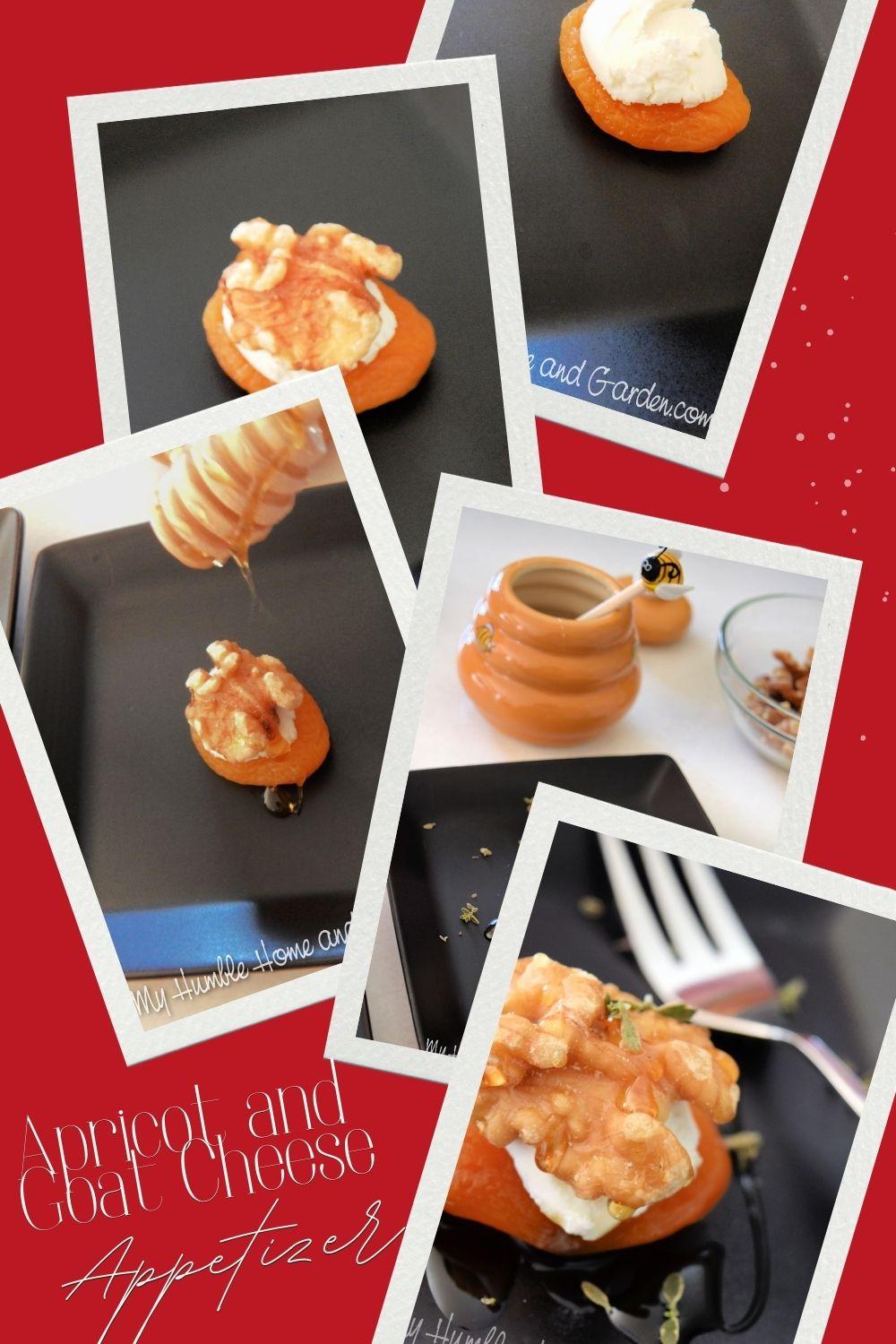 Easy Apricot and Goat Cheese Appetizer Impress Your Guests My